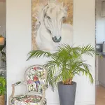 Apartman Frgk 'etoile Du Sud Terrasse Vue Palm Wifi Fibre'