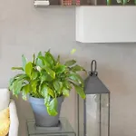 Apartman Frgk 'etoile Du Sud Terrasse Vue Palm Wifi Fibre' *