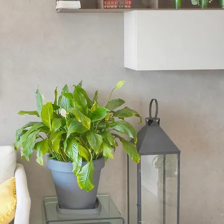 Apartment Frgk 