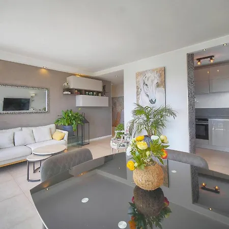 Apartman Frgk 'etoile Du Sud Terrasse Vue Palm Wifi Fibre' Cannes